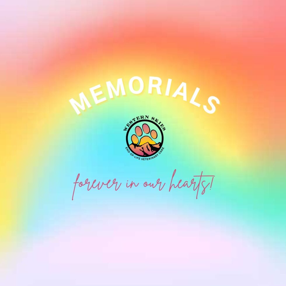 February 2026 Memorials